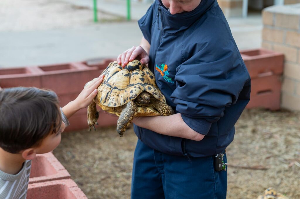 gady dla dzieci bezpieczne