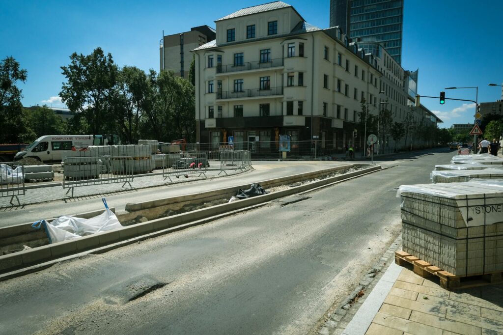 Podłoże dla pytona królewskiego – porównanie i wybór