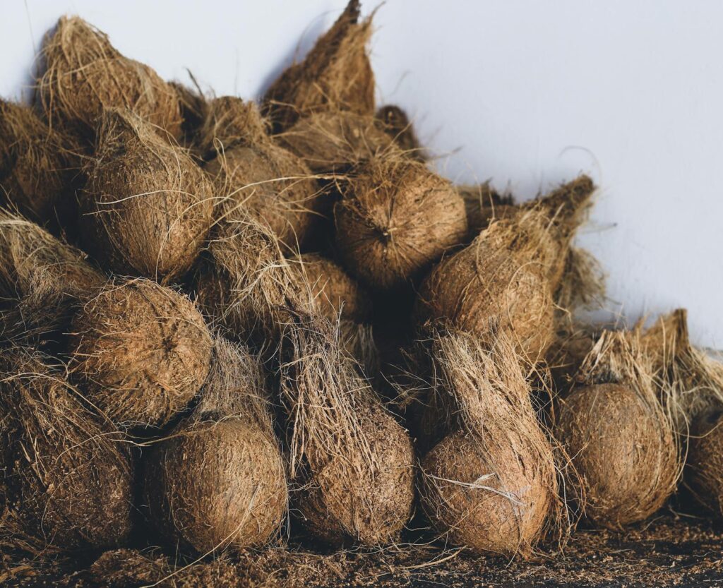 podłoże do terrarium wilgotnego