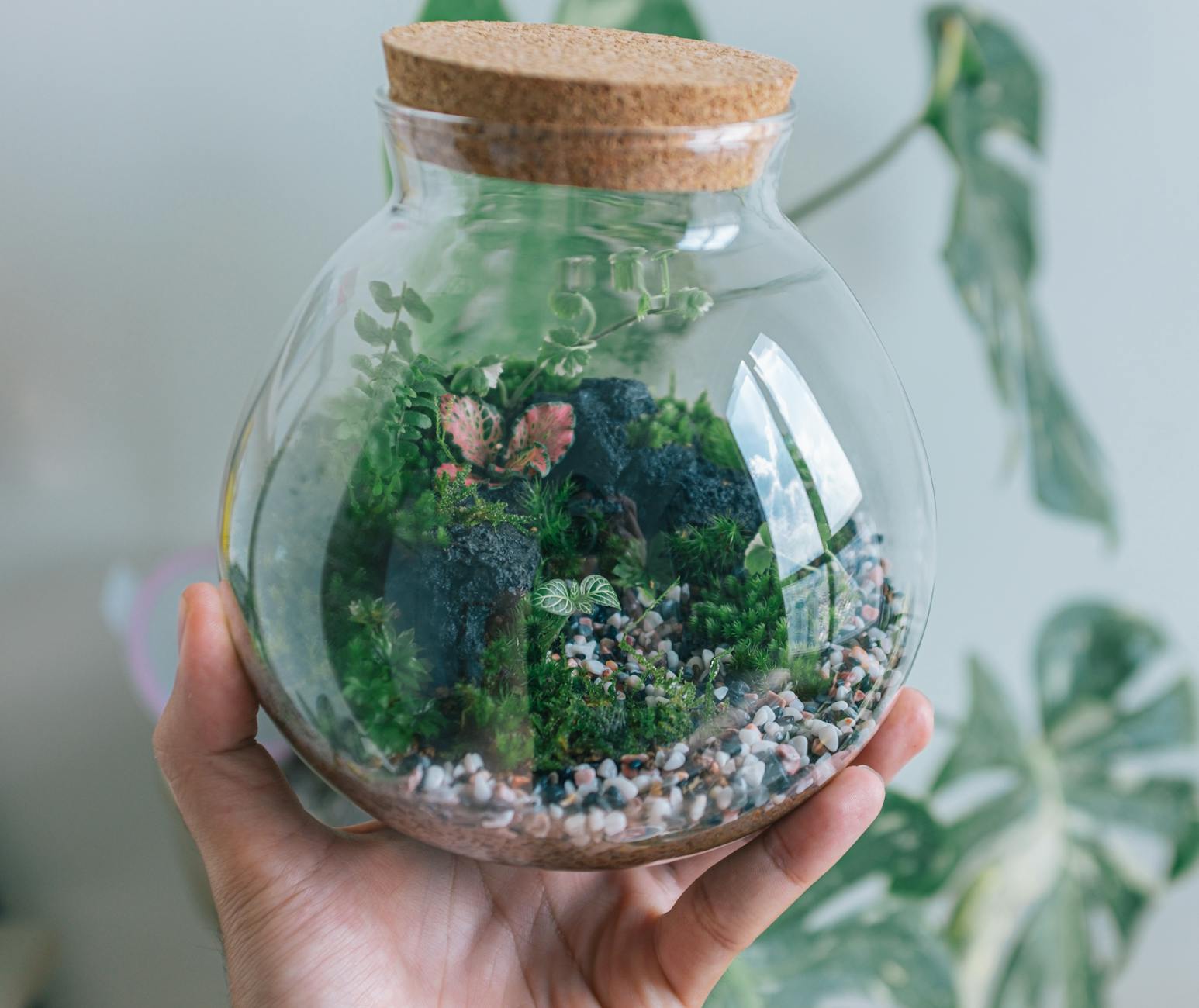 wentylacja terrarium