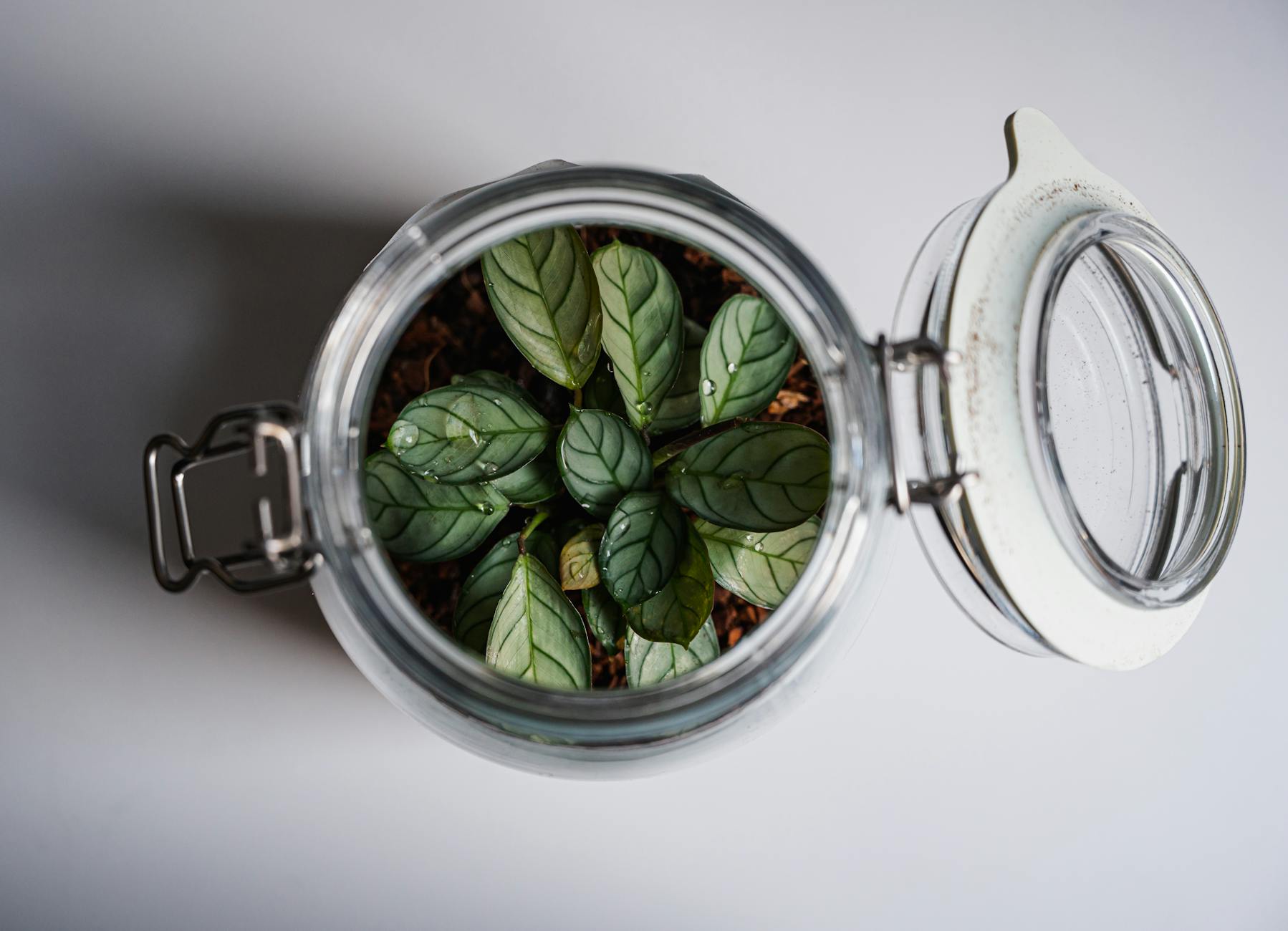 Oświetlenie terrarium zimą – jak radzić sobie z mniej słońca